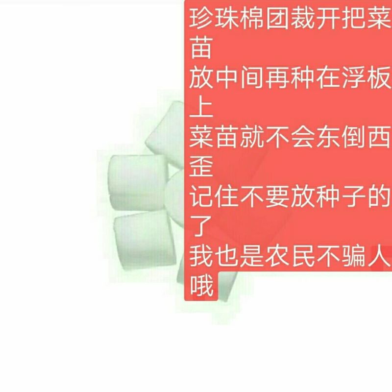 水上种植漂浮板无土栽培设备厂家销鱼塘水面新型种菜定植浮