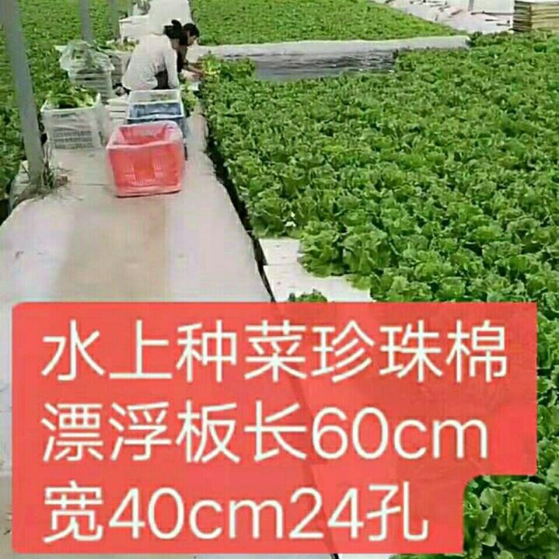 水上种植漂浮板无土栽培设备厂家销鱼塘水面新型种菜定植浮