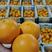 夏橙精品夏橙产地看货采购，保质保量，欢迎咨询订购