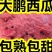 山东大棚甜王西瓜，现场采摘，包熟包甜，全国发货