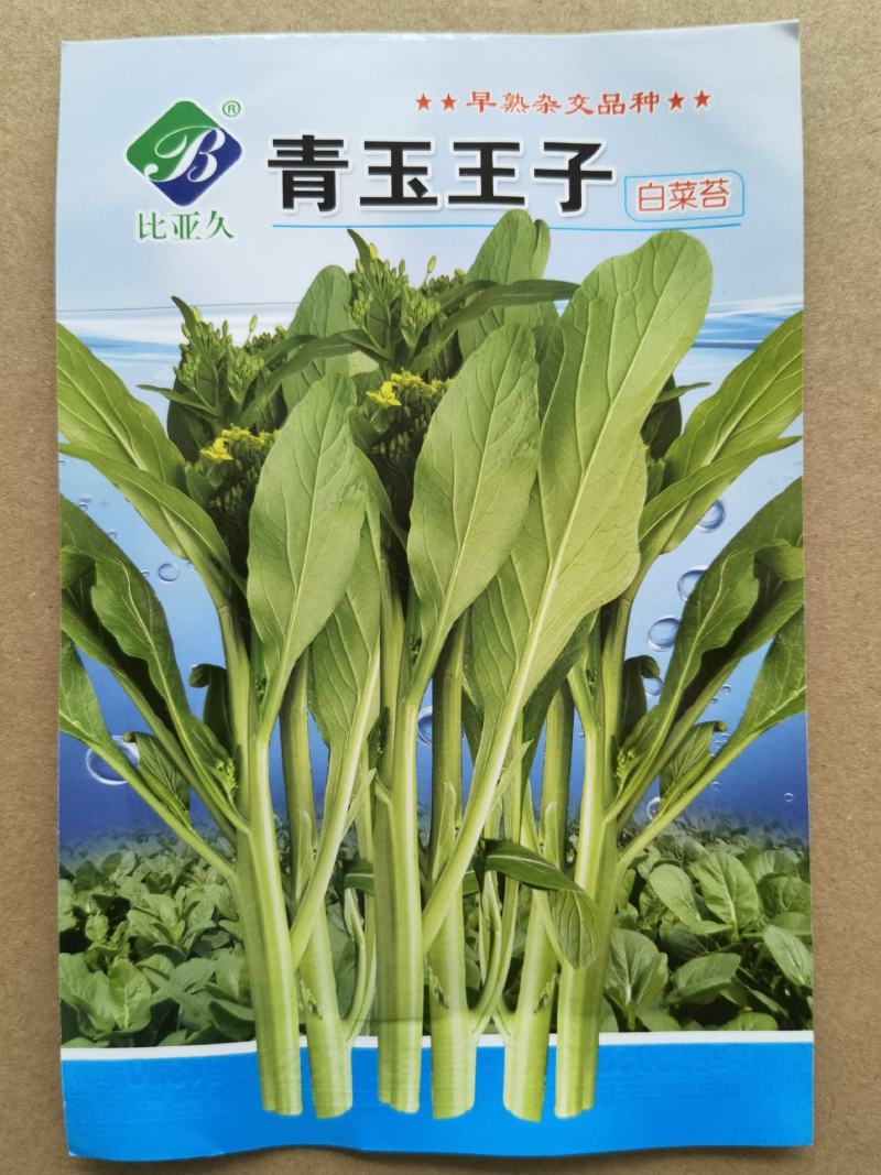 比亚久青玉王子白菜苔种子，早熟，肥嫩脆甜口感好