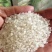 大米大量批发东北珍珠米袋装50斤量大从优