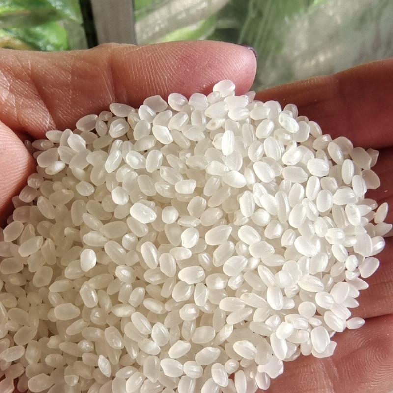 大米大量批发东北珍珠米袋装50斤量大从优