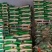 大米大量批发东北珍珠米袋装50斤量大从优