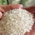 大米大量批发东北珍珠米袋装50斤量大从优