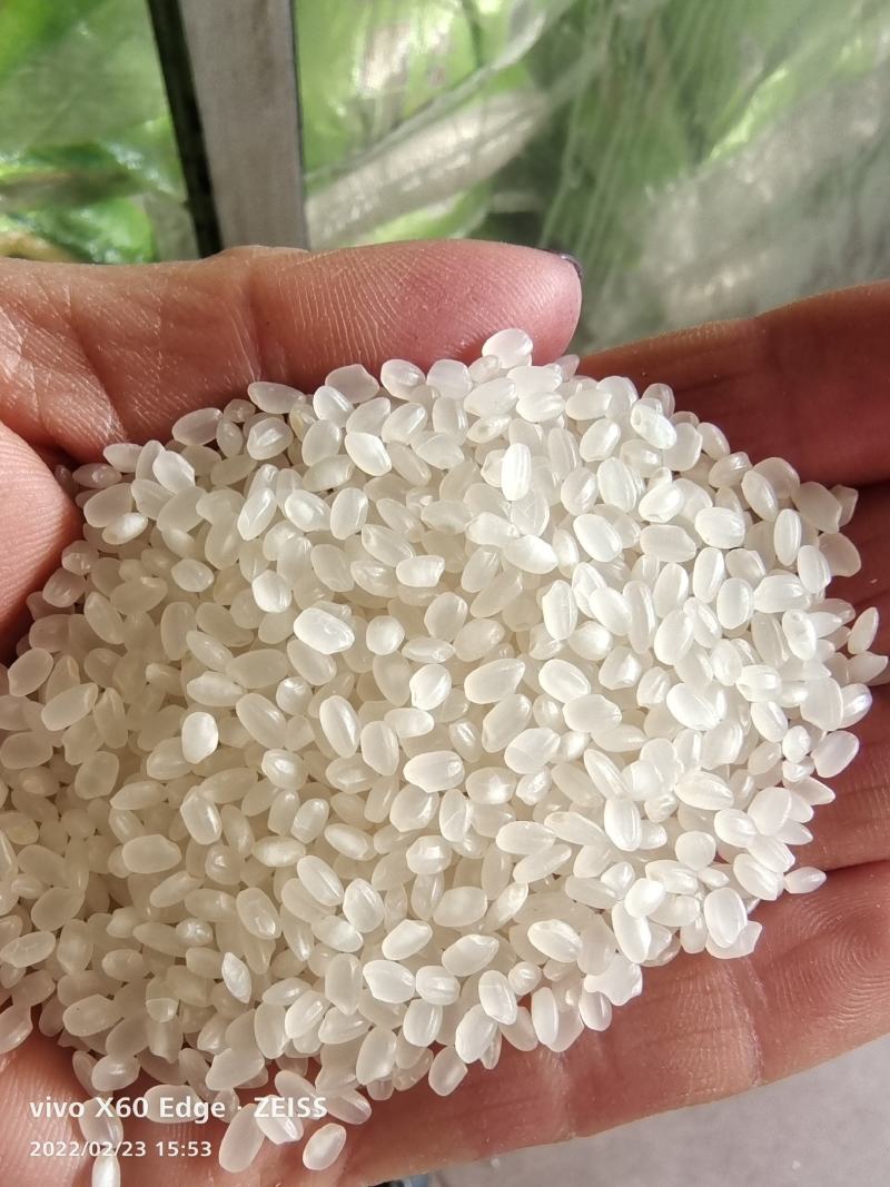 大米大量批发东北珍珠米袋装50斤量大从优