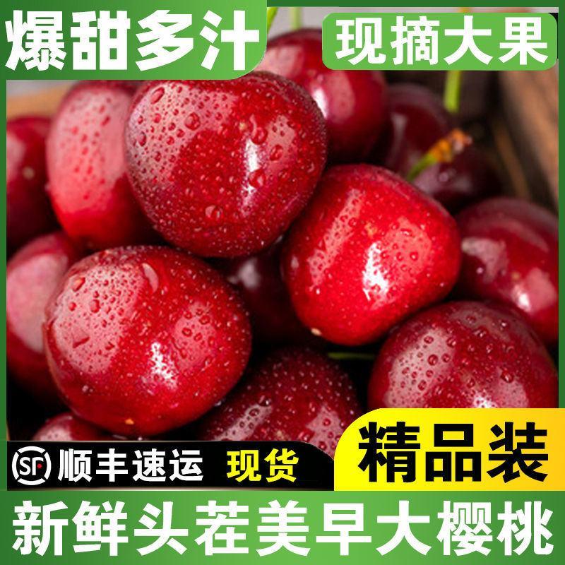 【一件代发】烟台美早大樱桃当季新鲜水果孕妇3/5斤现货