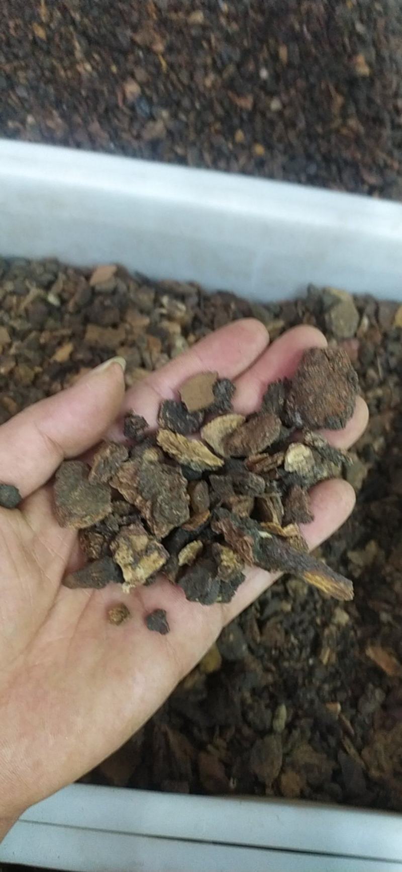 没药基地直供全国发货诚信经营