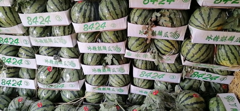 5.14日美都，质量保证，口感好，量大从优