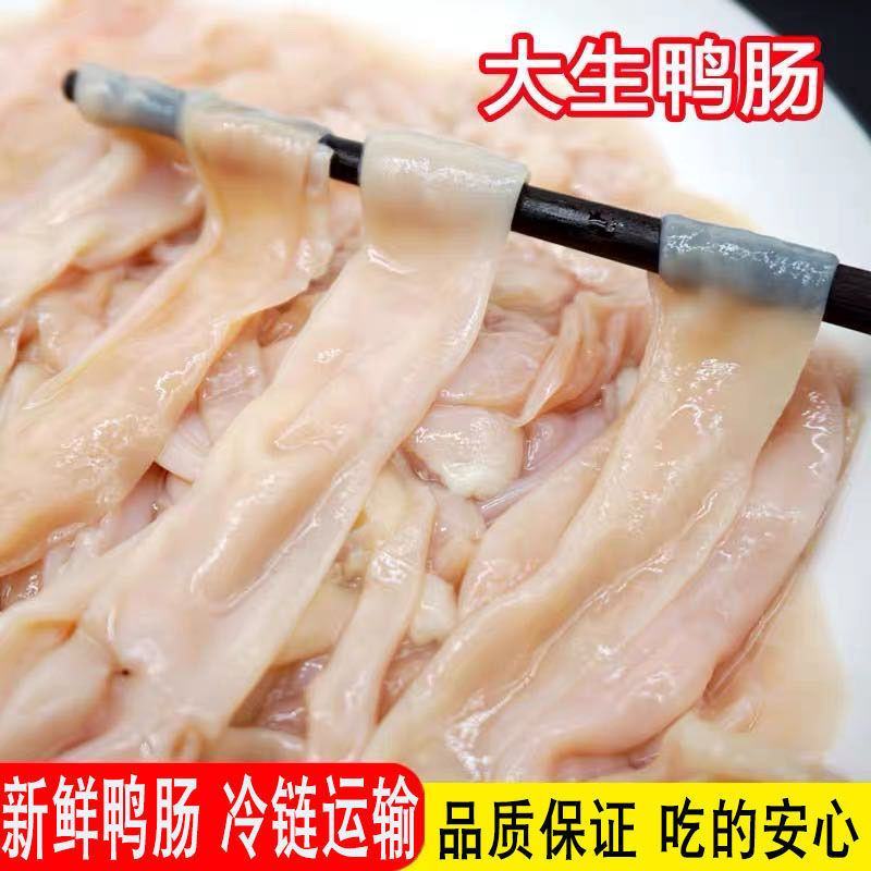 鸭肠新鲜鸭肠干净无油免洗批发火锅食材卤鸭肠烧烤串串冷冻