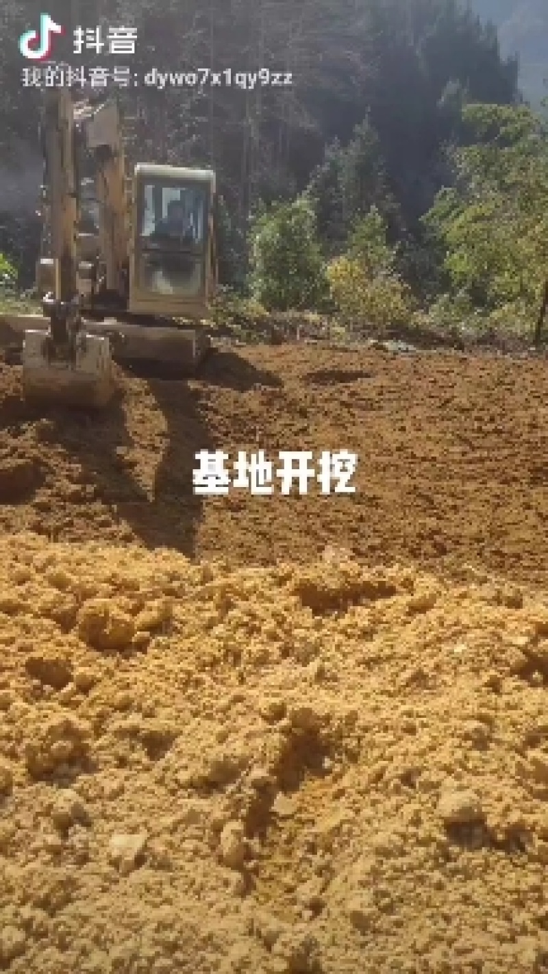 野蚕豆
