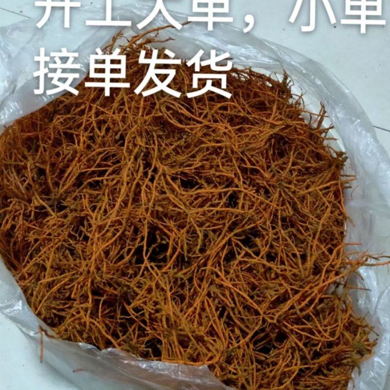 野蚕豆