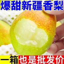 【一件代发】正宗新疆香梨脆甜薄皮梨应季新鲜水果香酥梨整箱
