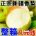 【一件代发】正宗新疆香梨脆甜薄皮梨应季新鲜水果香酥梨整箱