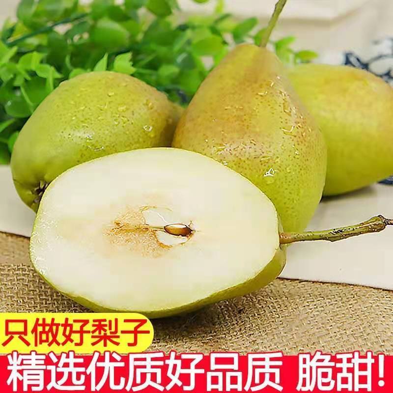 【一件代发】正宗新疆香梨脆甜薄皮梨应季新鲜水果香酥梨整箱