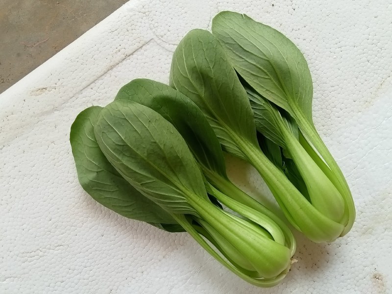 套餐油菜快菜油麦菜