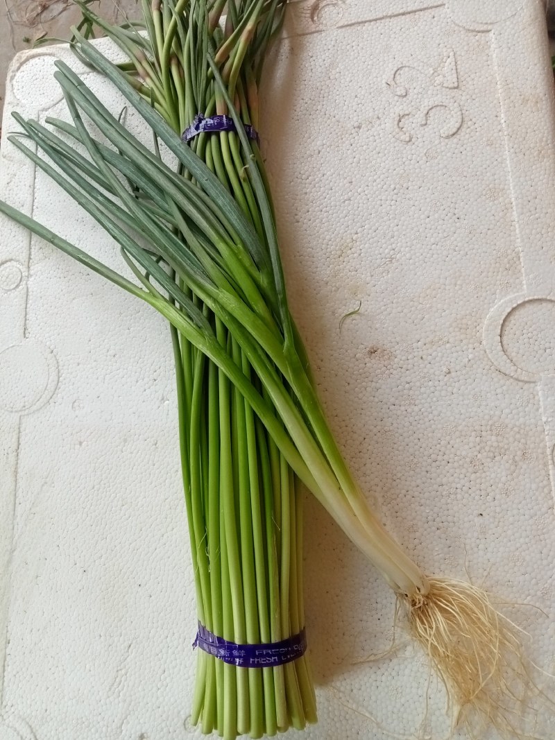 套餐油菜快菜油麦菜
