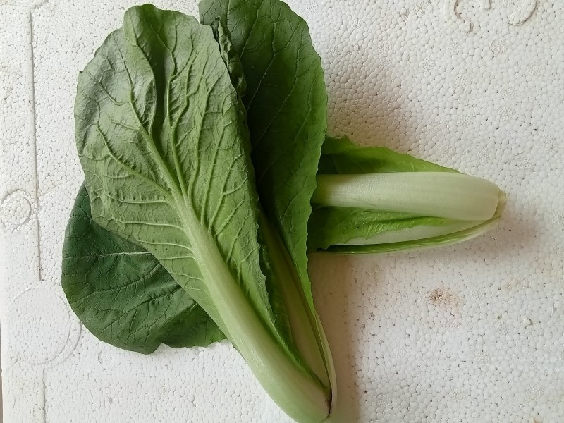 套餐油菜快菜油麦菜