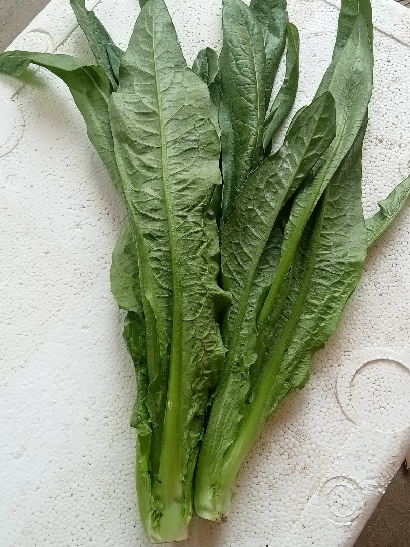 套餐油菜快菜油麦菜