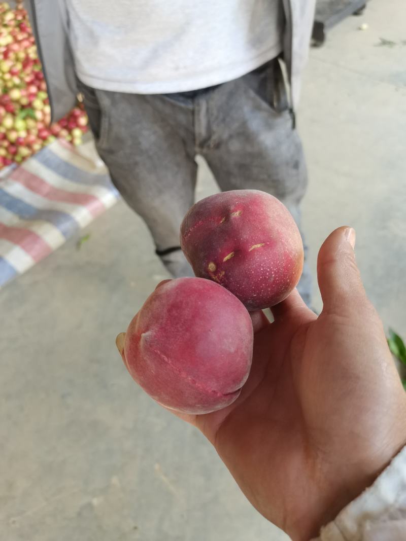 红宝石量在不断增加