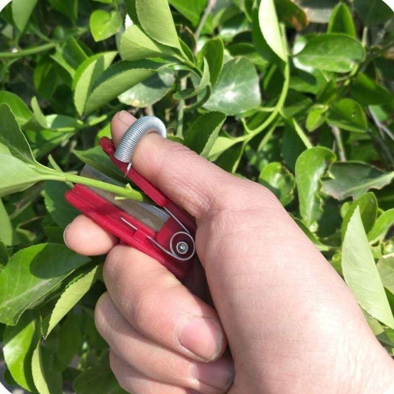 采摘小铡刀手戒指摘菜神器蔬果黄瓜辣椒豆角葡萄掐须打尖打岔