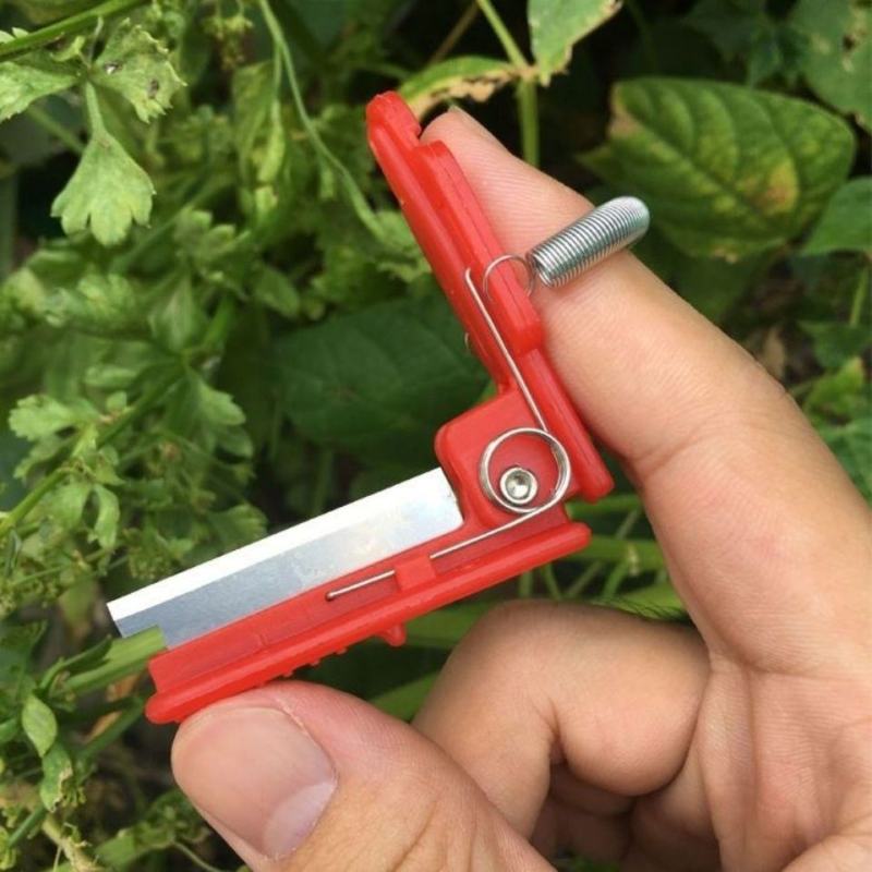 采摘小铡刀手戒指摘菜神器蔬果黄瓜辣椒豆角葡萄掐须打尖打岔