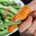 果蔬采摘小工具剥豆掐菜拇指刀择菜摘菜神器摘花椒指套指甲手