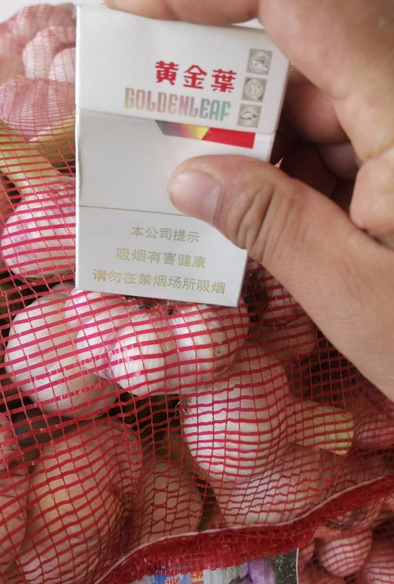 河南扒皮蒜
