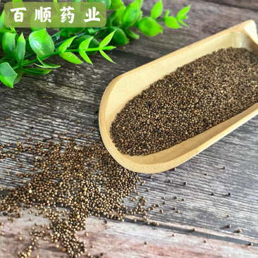 菟丝子内蒙货高含量。水洗货无杂质批发零售全国发货