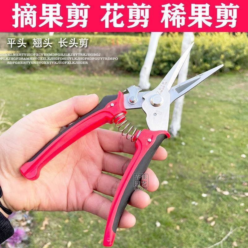新款稀花剪蔬果剪疏花疏果双口剪苹果树梨树疏果农用剪刀摘果