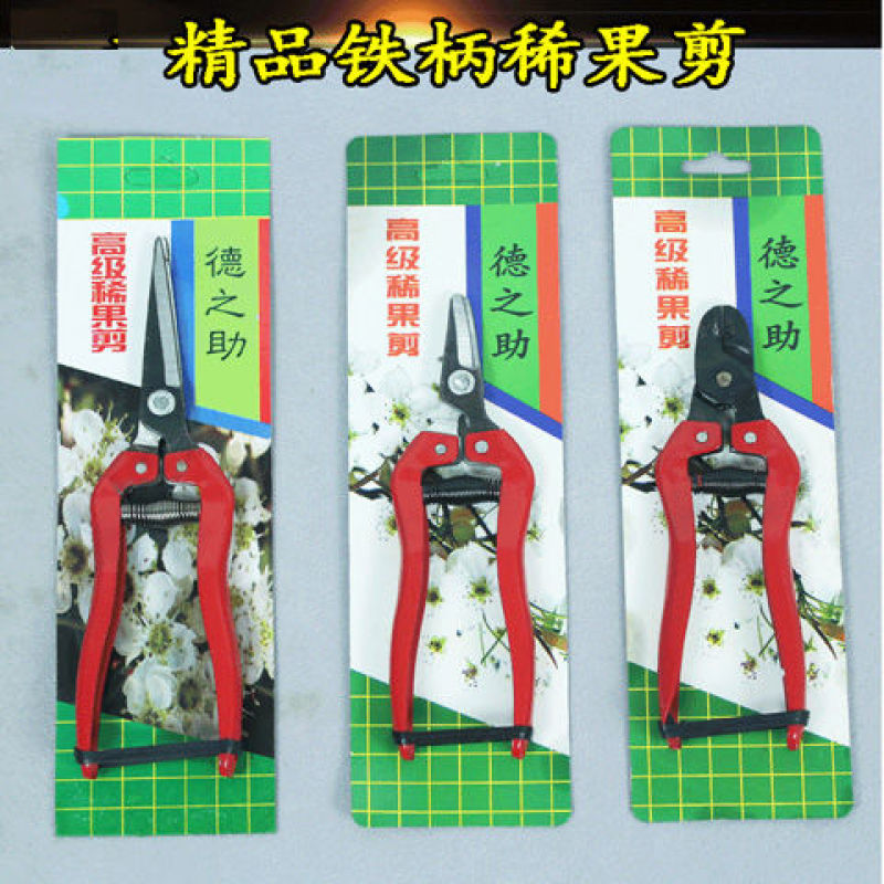 包邮德之助摘果剪刀修枝稀果剪采果不锈钢葡萄桔子剪刀园艺