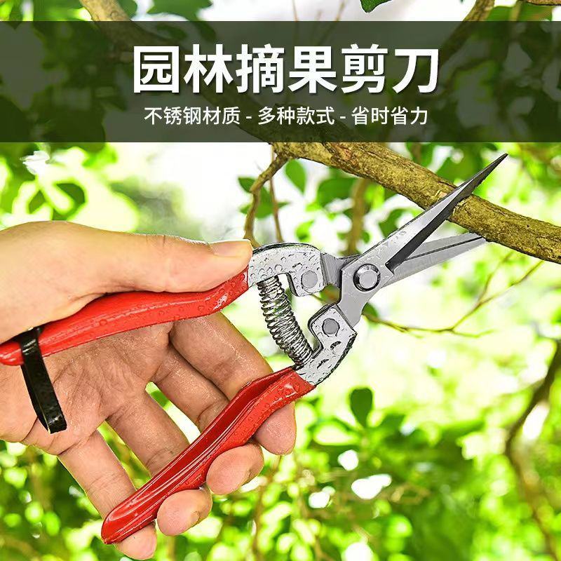 修枝剪子葡萄摘果剪园林果树剪刀粗枝花剪省力树枝修花园