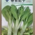 香苔妃子白菜苔种子，早熟耐寒，生长快味道好