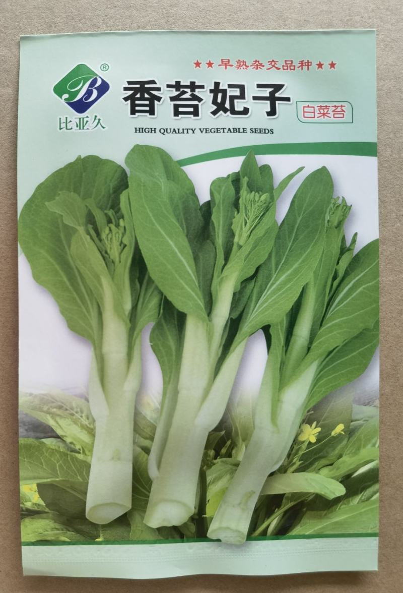 香苔妃子白菜苔种子，早熟耐寒，生长快味道好