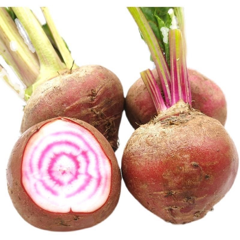 条纹萝卜
