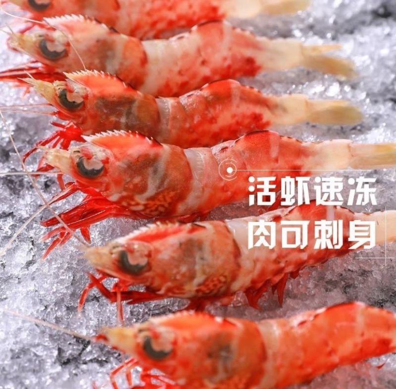 鸡冠虾225g/盒鸡冠虾大头虾海虾虎虾呛虾海鲜