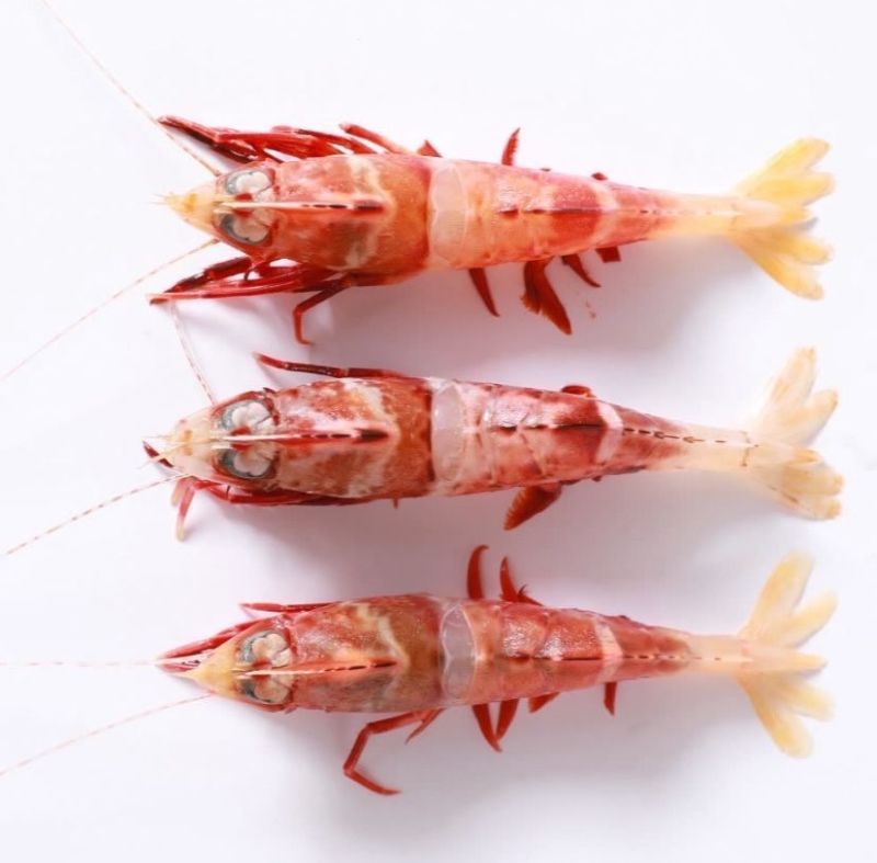 鸡冠虾225g/盒鸡冠虾大头虾海虾虎虾呛虾海鲜