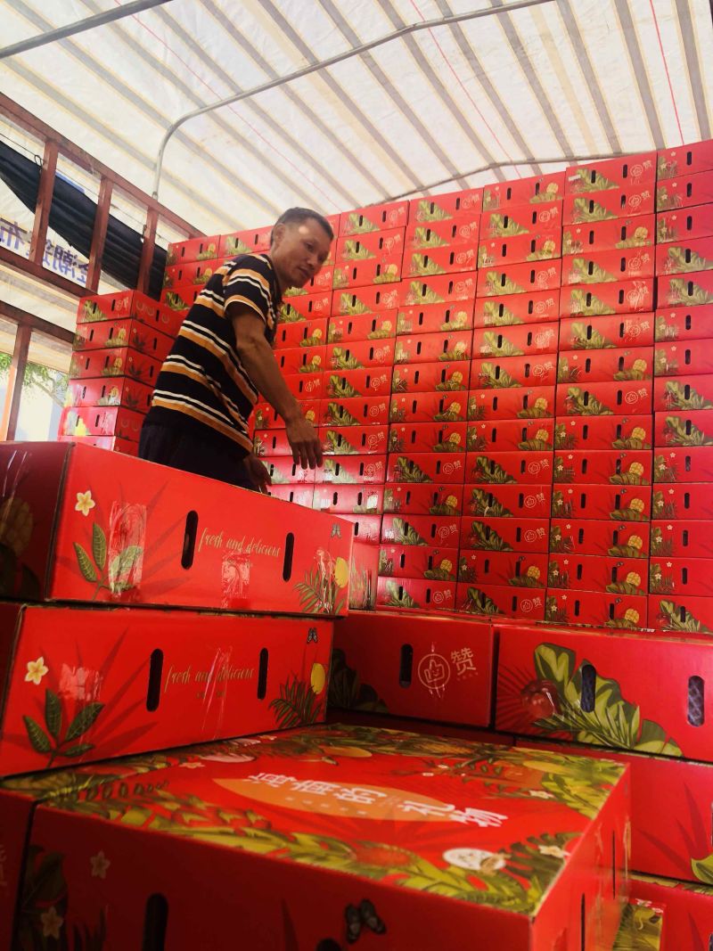 海南贵妃芒芒果红金龙热带应季新鲜水果现摘礼盒非小台金煌芒