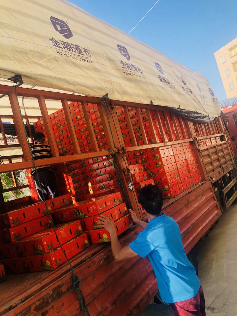 海南贵妃芒芒果红金龙热带应季新鲜水果现摘礼盒非小台金煌芒