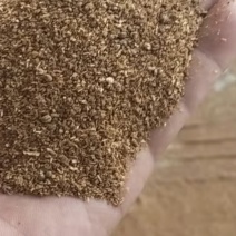 小麦谷元粉。玉米饲料DGGS