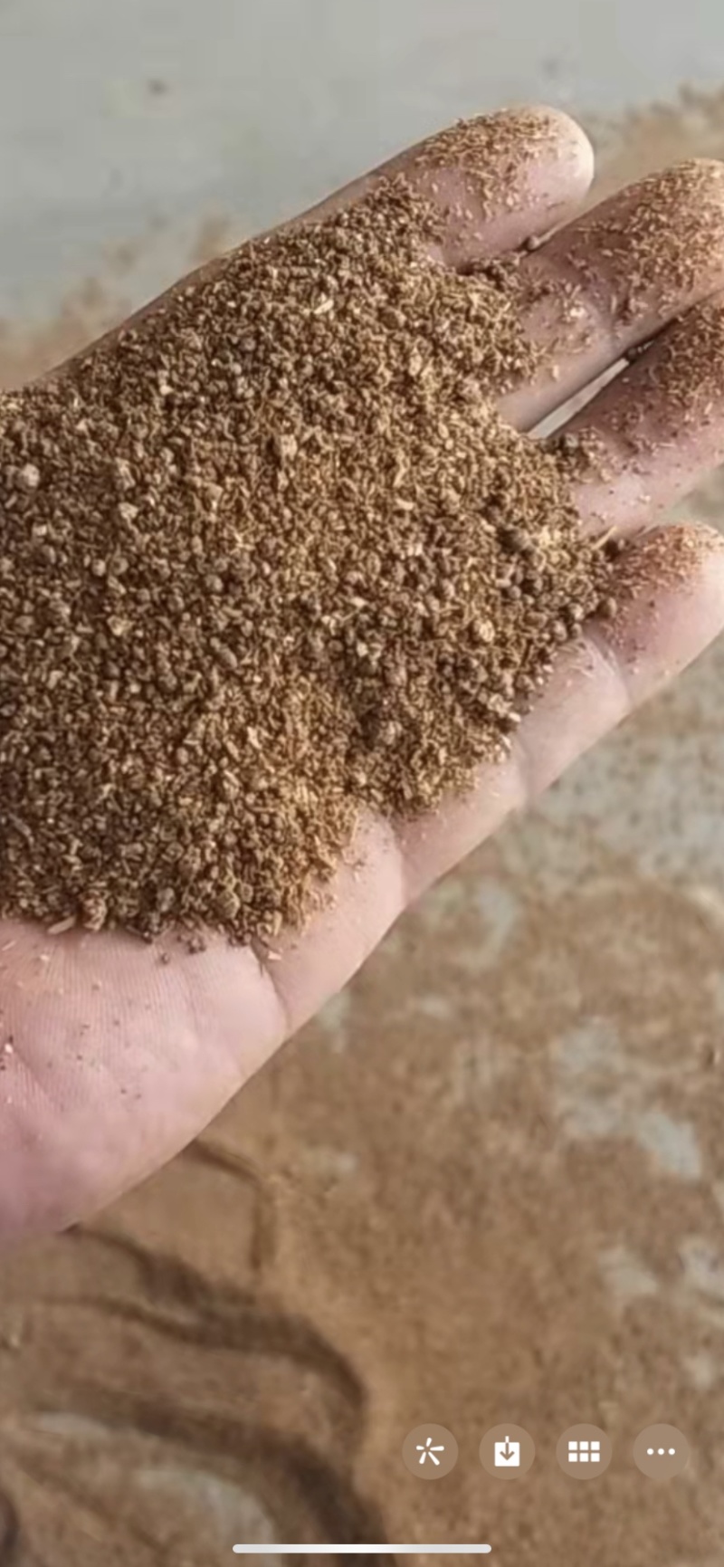 小麦谷元粉。玉米饲料DGGS