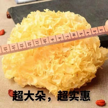 古田银耳干货无硫熏特级白木耳软糯易出胶干净无杂质雪耳丑耳