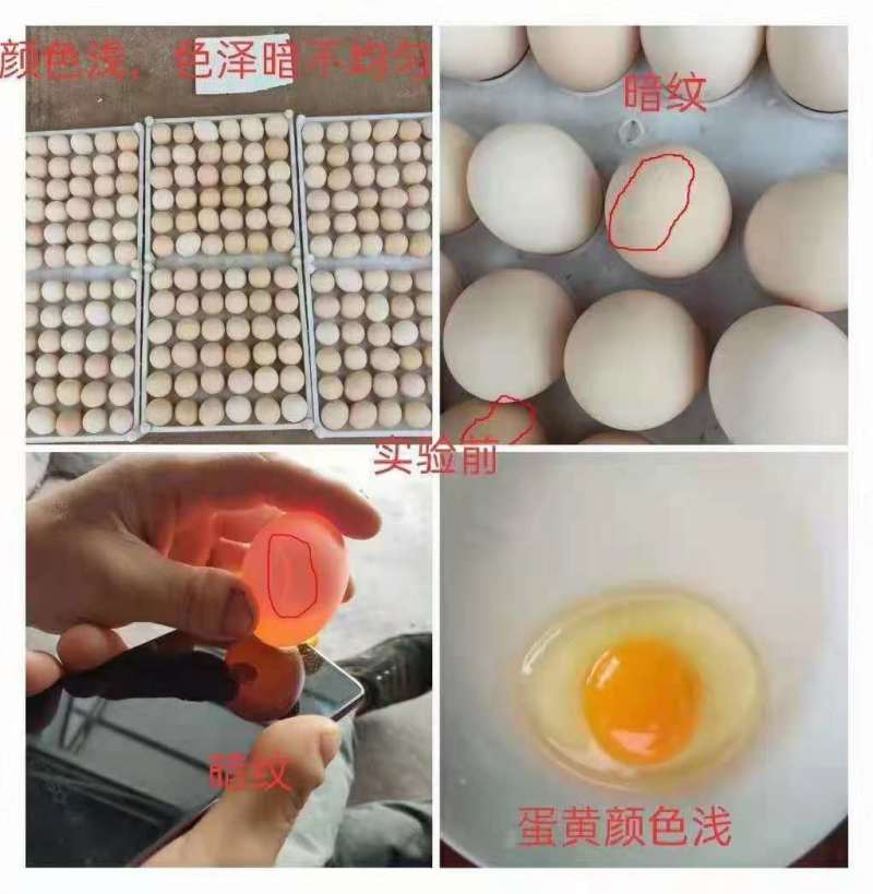 厂家辣椒油渣适用于养殖场饲料厂添加