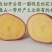 青薯9号产地直销量大从优品质优良欢迎咨询