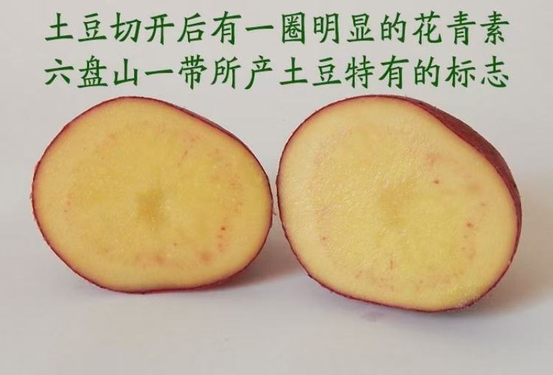 青薯9号产地直销量大从优品质优良欢迎咨询
