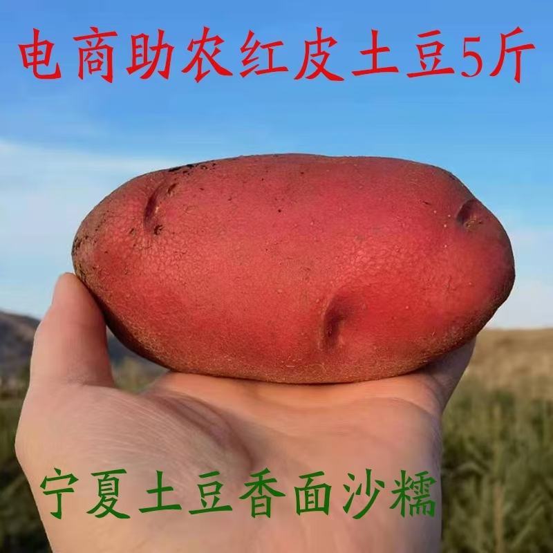 青薯9号产地直销量大从优品质优良欢迎咨询