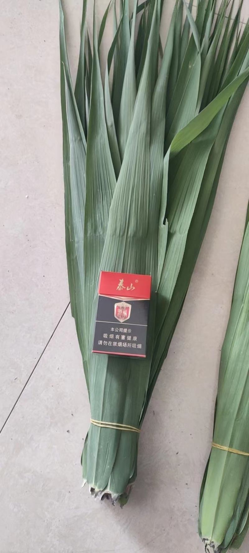 苇叶