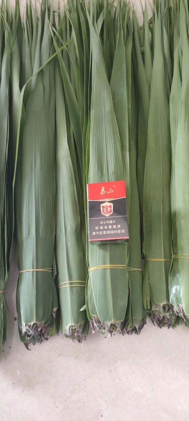 苇叶