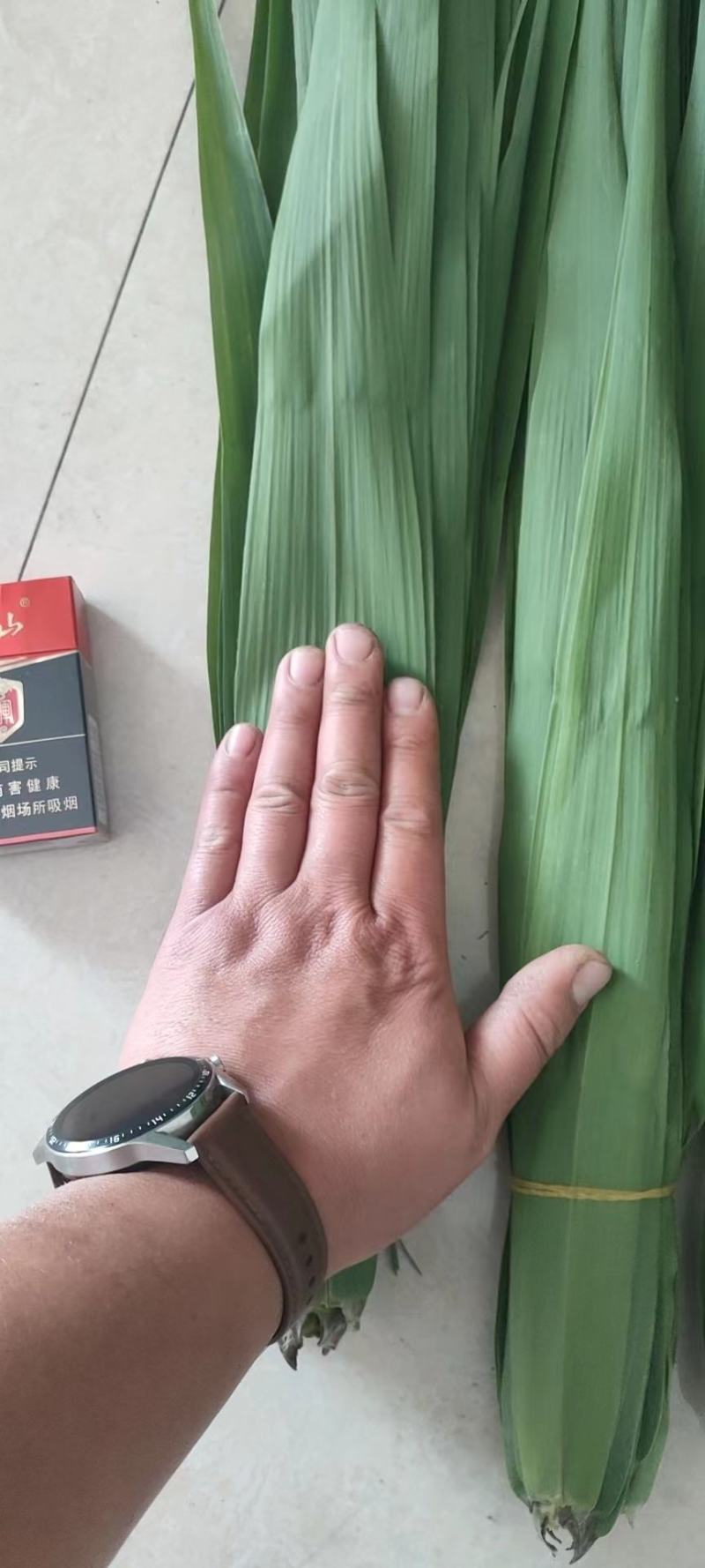 苇叶