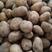 吉林公主岭黄心土豆，大量供应，全国发货，保质保量，欢迎来